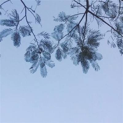 剑风传奇手游下载