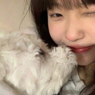 英灵召唤师手游百度版下载